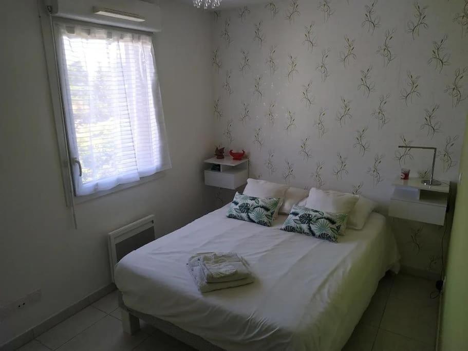 Magnifique Rooftop Duplex Climatise Familial, Aux Arceaux Montpellier Exteriör bild